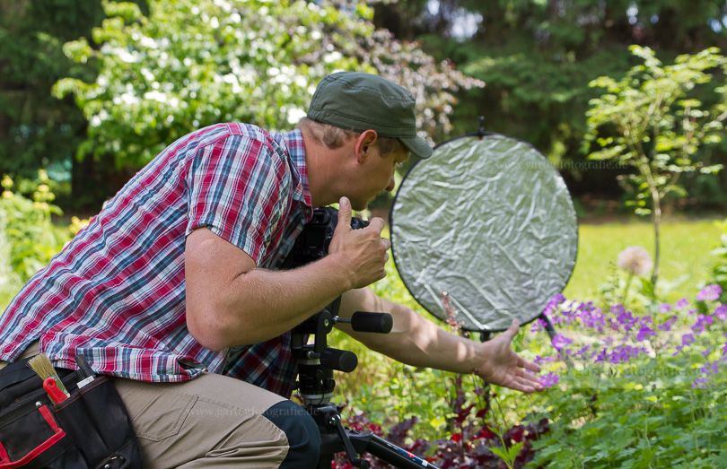 Bild Professionelle Garten- und Pflanzenfotografie